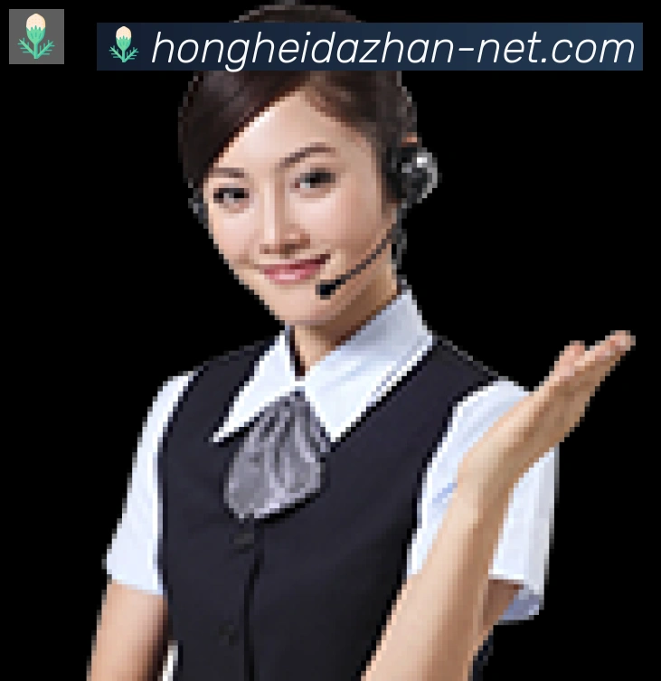 奖项证书